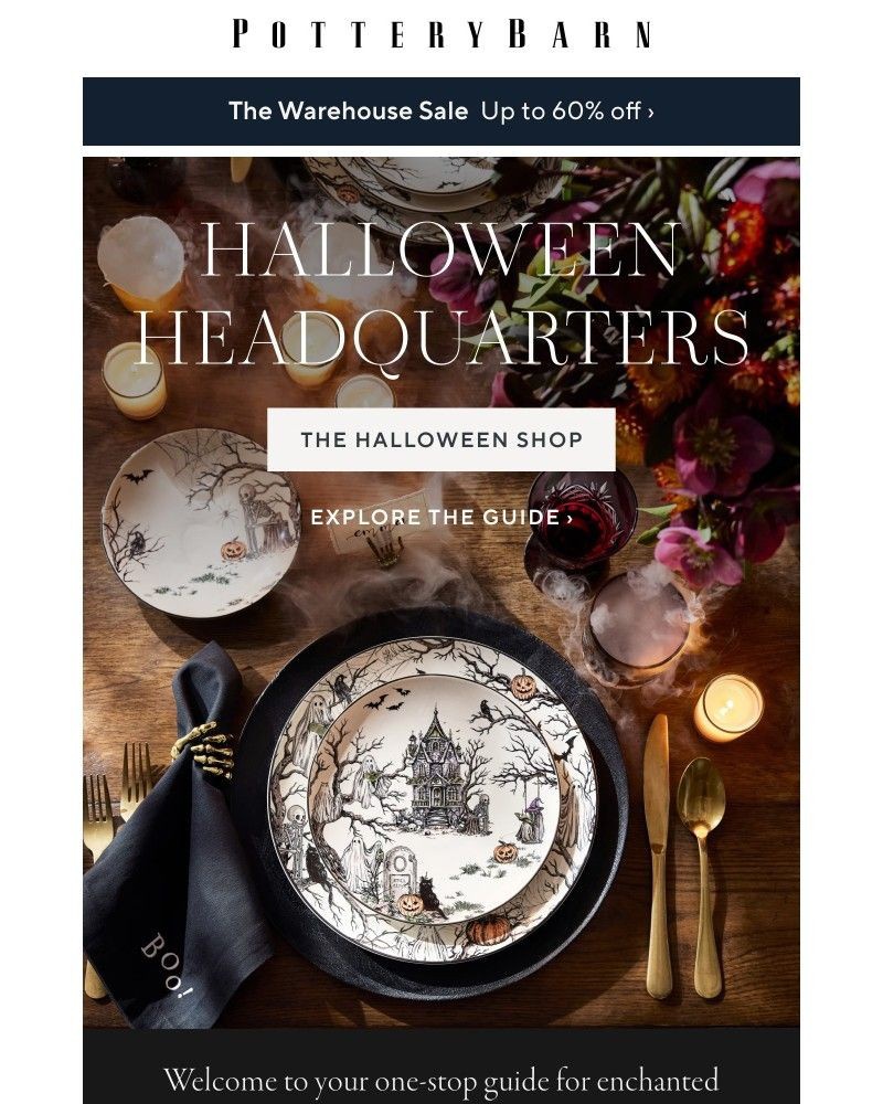 Screenshot of email with subject /media/emails/your-guide-to-all-things-halloween-8396a4-cropped-80c91582.jpg