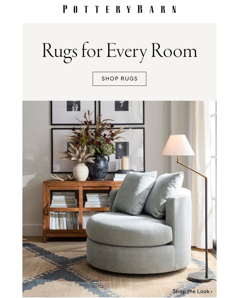 Screenshot of email with subject /media/emails/your-guide-to-rugs-for-every-room-bc06ea-cropped-72399c39.jpg