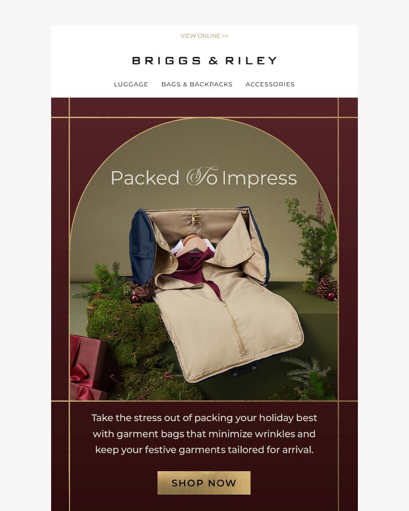 Screenshot of email with subject /media/emails/your-holiday-looks-deserve-vip-treatment-f639ed-cropped-4bc5d112.jpg