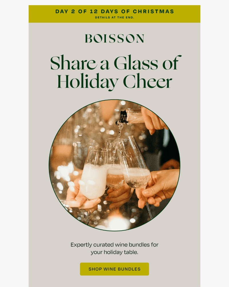 Screenshot of email sent to a Boisson Newsletter subscriber