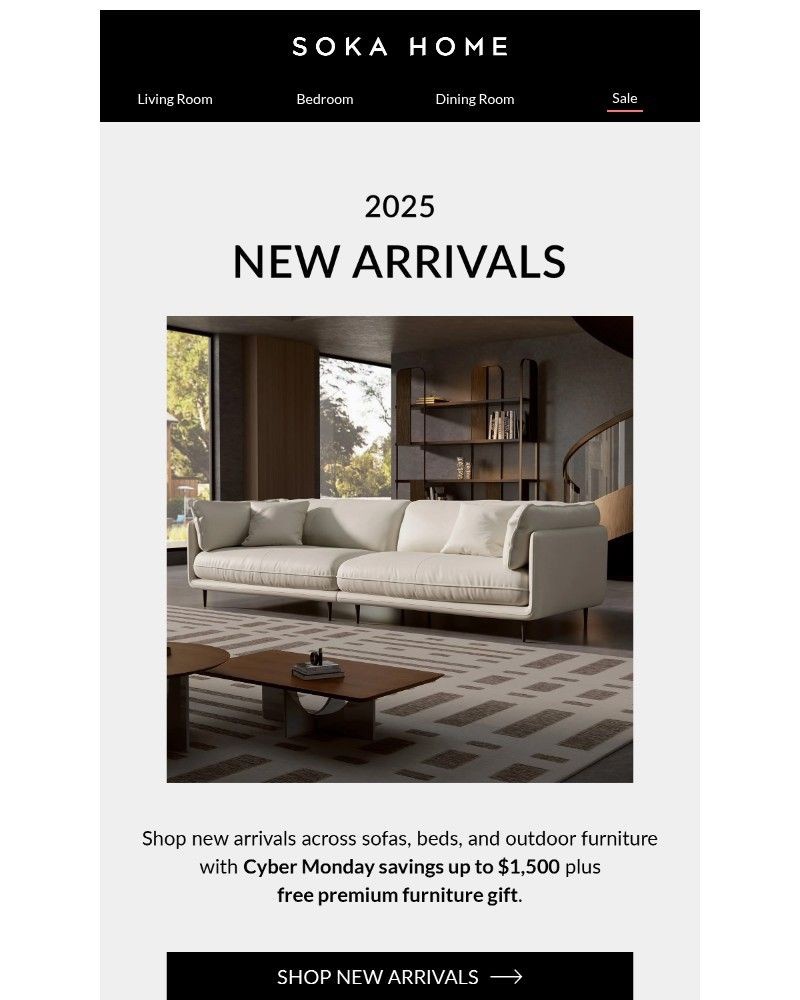 Screenshot of email sent to a Soka Home Newsletter subscriber