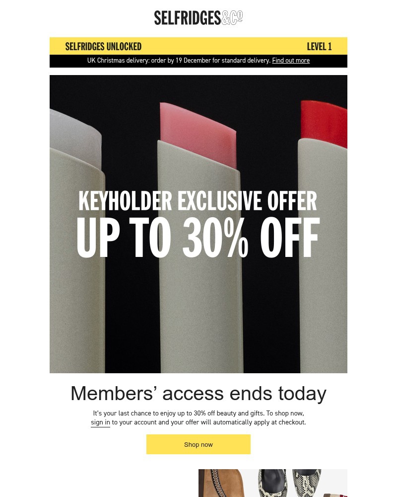 Screenshot of email with subject /media/emails/your-keyholder-exclusive-offer-ends-today-d98068-cropped-bb57f08c.jpg