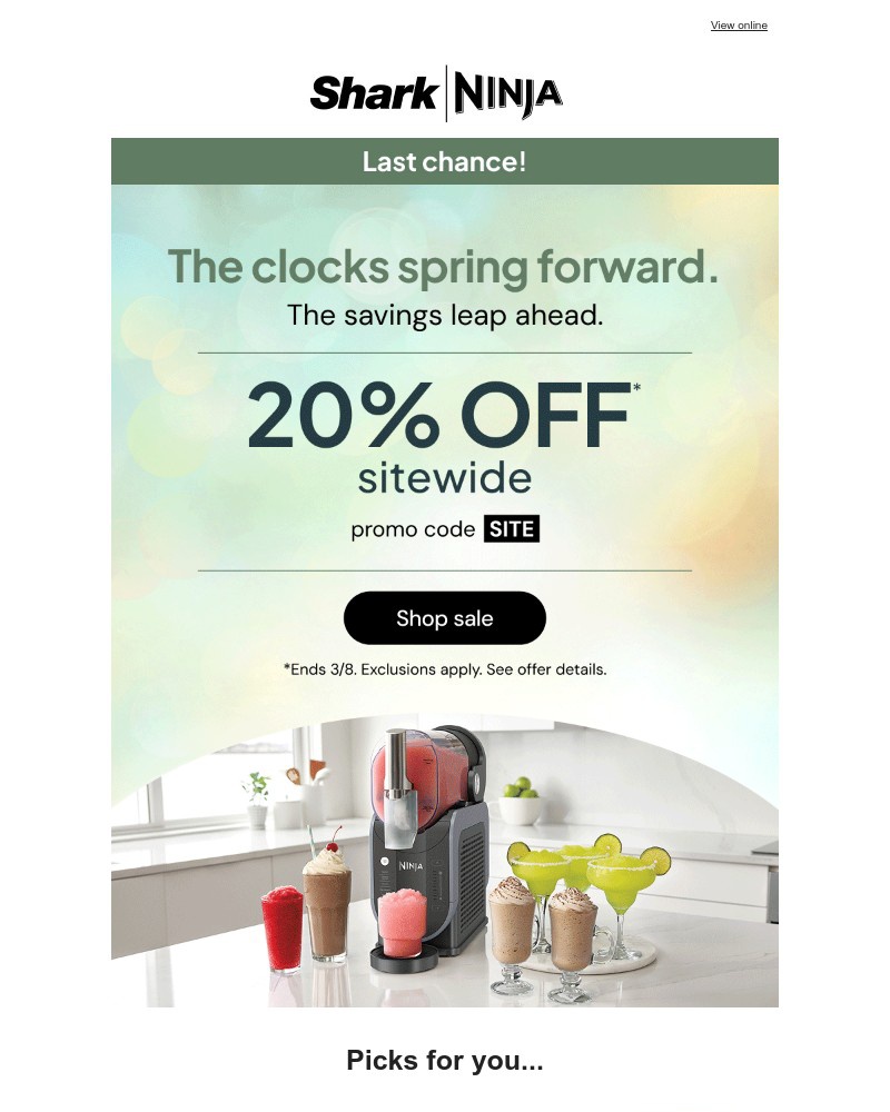 Screenshot of email with subject /media/emails/your-last-chance-at-20-off-sitewide-fe5a9c-cropped-6831258a.jpg