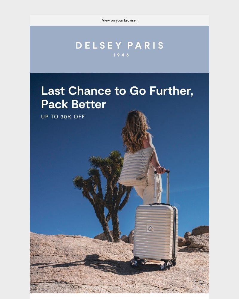 Screenshot of email sent to a Delsey Paris Newsletter subscriber