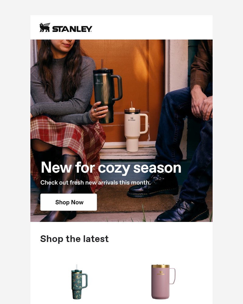 Screenshot of email sent to a Stanley Newsletter subscriber