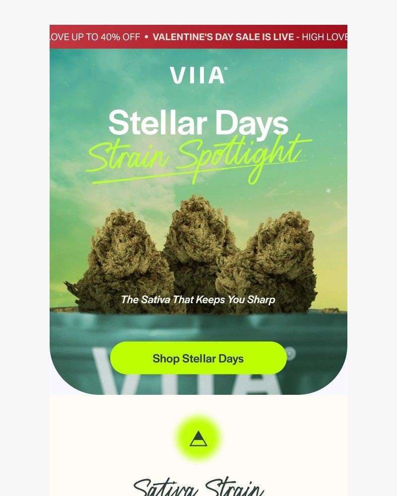 Screenshot of email sent to a VIIA Newsletter subscriber