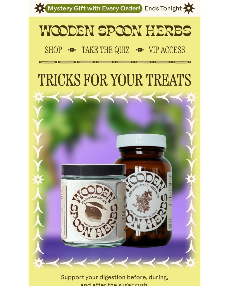 Screenshot of email sent to a Wooden Spoon Herbs Newsletter subscriber