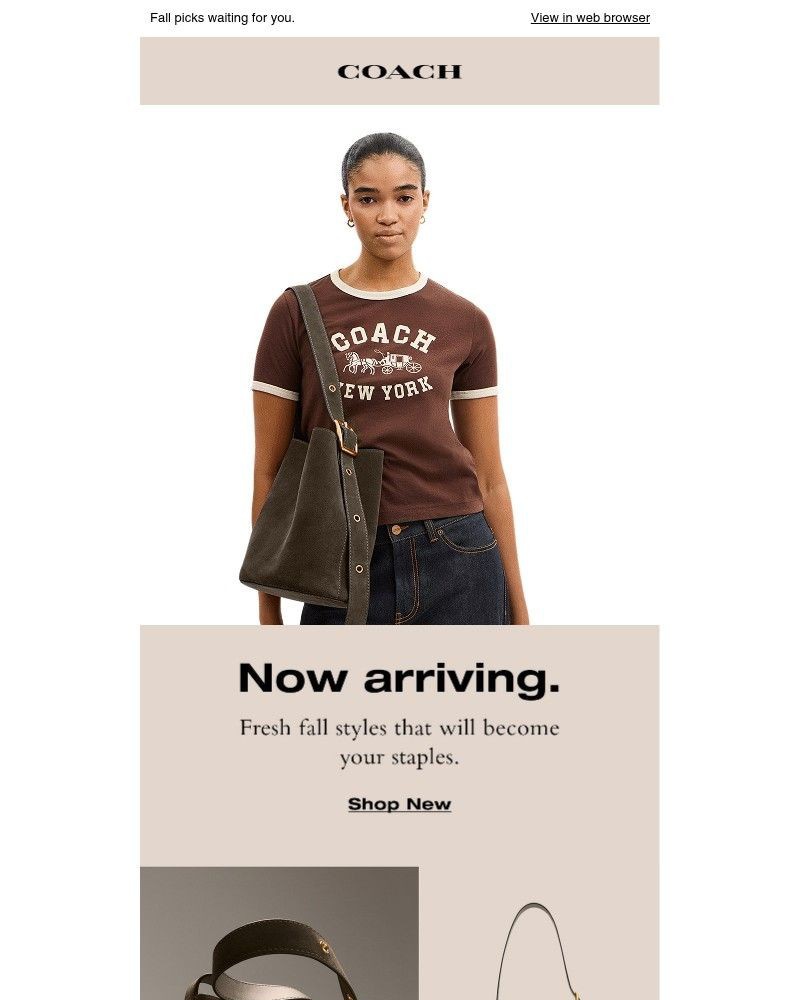 Screenshot of email with subject /media/emails/your-new-bag-is-here-2f9156-cropped-8bb685b2.jpg