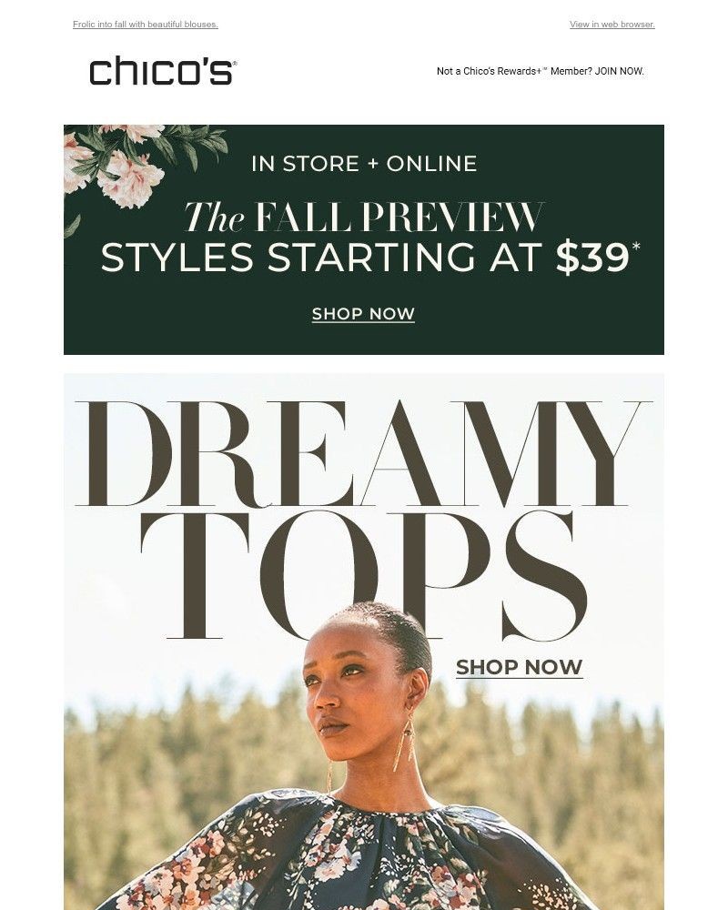 Screenshot of email with subject /media/emails/your-new-dreamy-top-is-inside-08e810-cropped-5eb55706.jpg