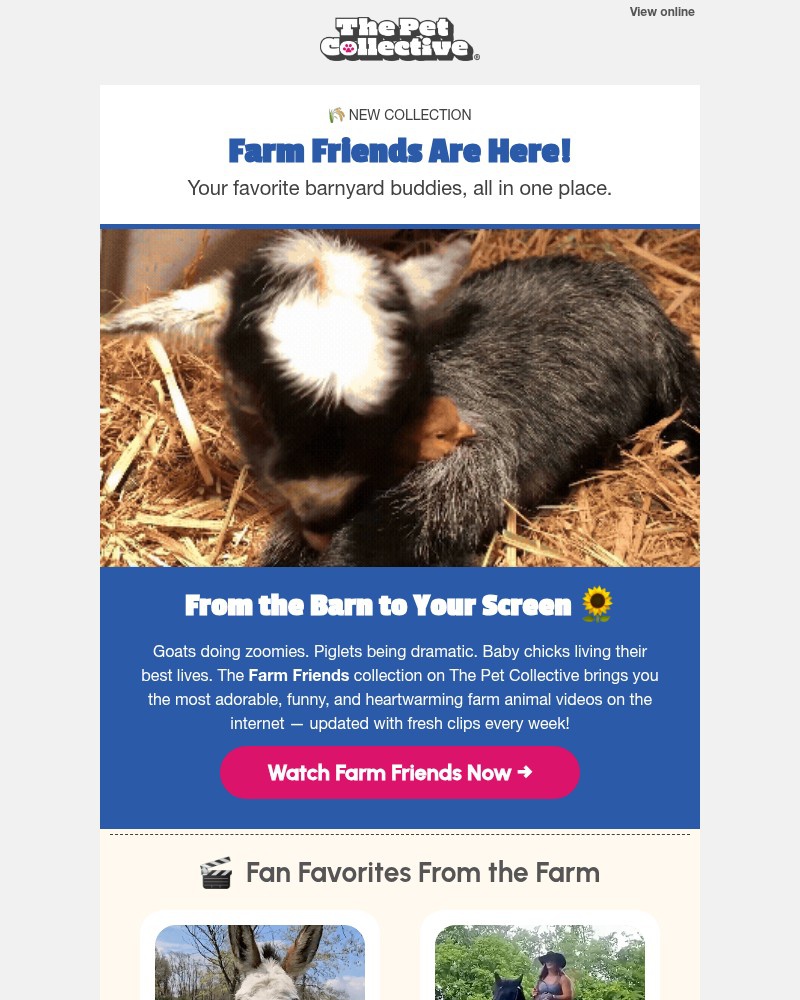 Screenshot of email with subject /media/emails/your-new-favorite-farm-animals-have-arrived-05dab3-cropped-120f7505.jpg
