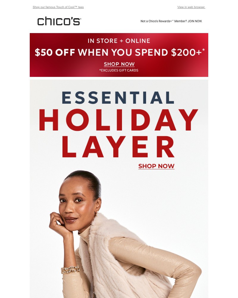 Screenshot of email with subject /media/emails/your-new-holiday-essential-2ffc3a-cropped-4aad301f.jpg