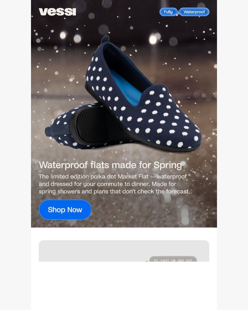 Screenshot of email sent to a Vessi Seller