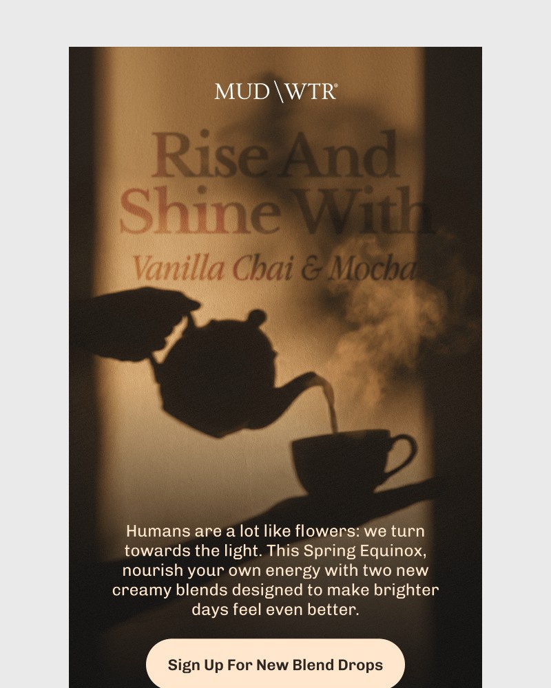 Screenshot of email with subject /media/emails/your-new-spring-obsessions-2d2ca5-cropped-85883306.jpg