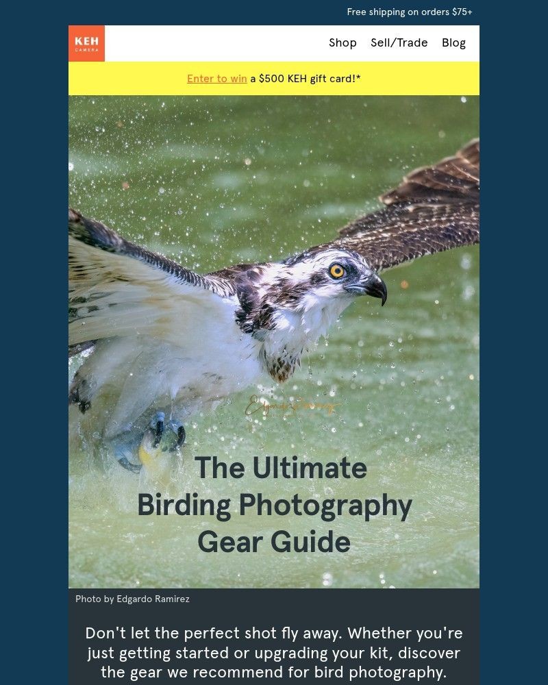 Screenshot of email with subject /media/emails/your-next-bird-photography-camera-awaits-4d0ef8-cropped-0683ee3e.jpg
