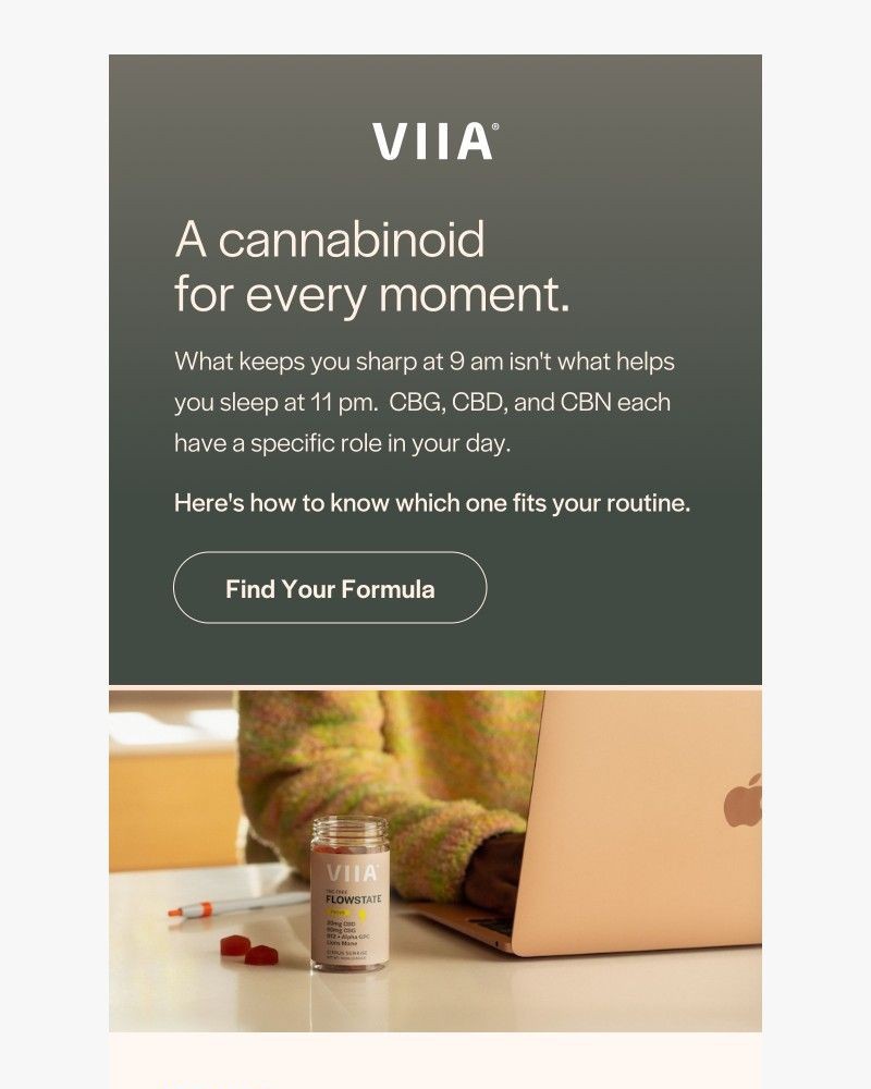 Screenshot of email with subject /media/emails/your-nights-deserve-cbn-671c95-cropped-cc0e76e8.jpg
