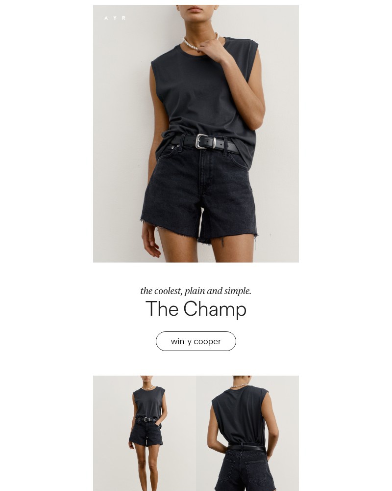 Screenshot of email sent to a AYR Newsletter subscriber