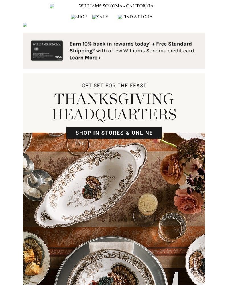 Screenshot of email with subject /media/emails/your-one-stop-thanksgiving-shop-starts-here-781645-cropped-9141fa4b.jpg