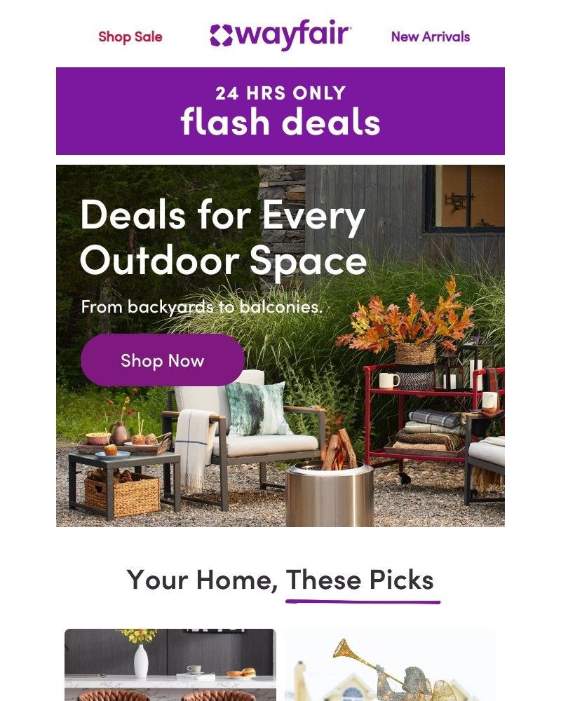 Screenshot of email sent to a Wayfair Newsletter subscriber