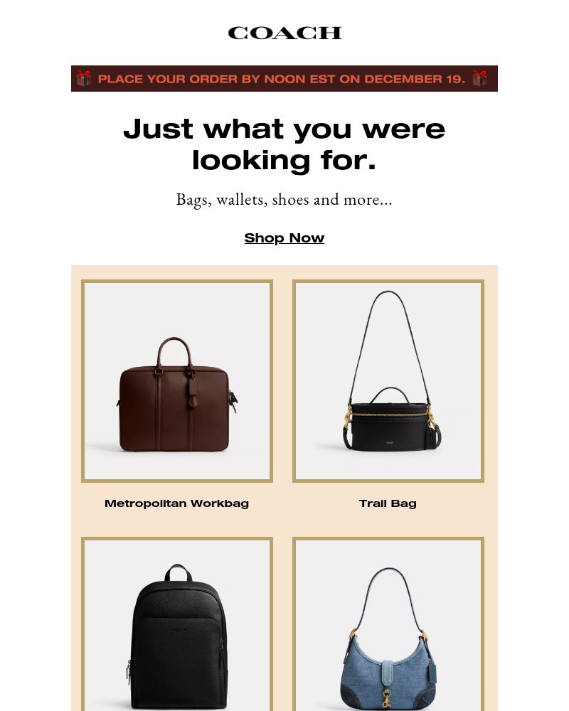 Screenshot of email with subject /media/emails/your-personalized-gift-guide-has-arrived-df0e5c-cropped-67b9898d.jpg