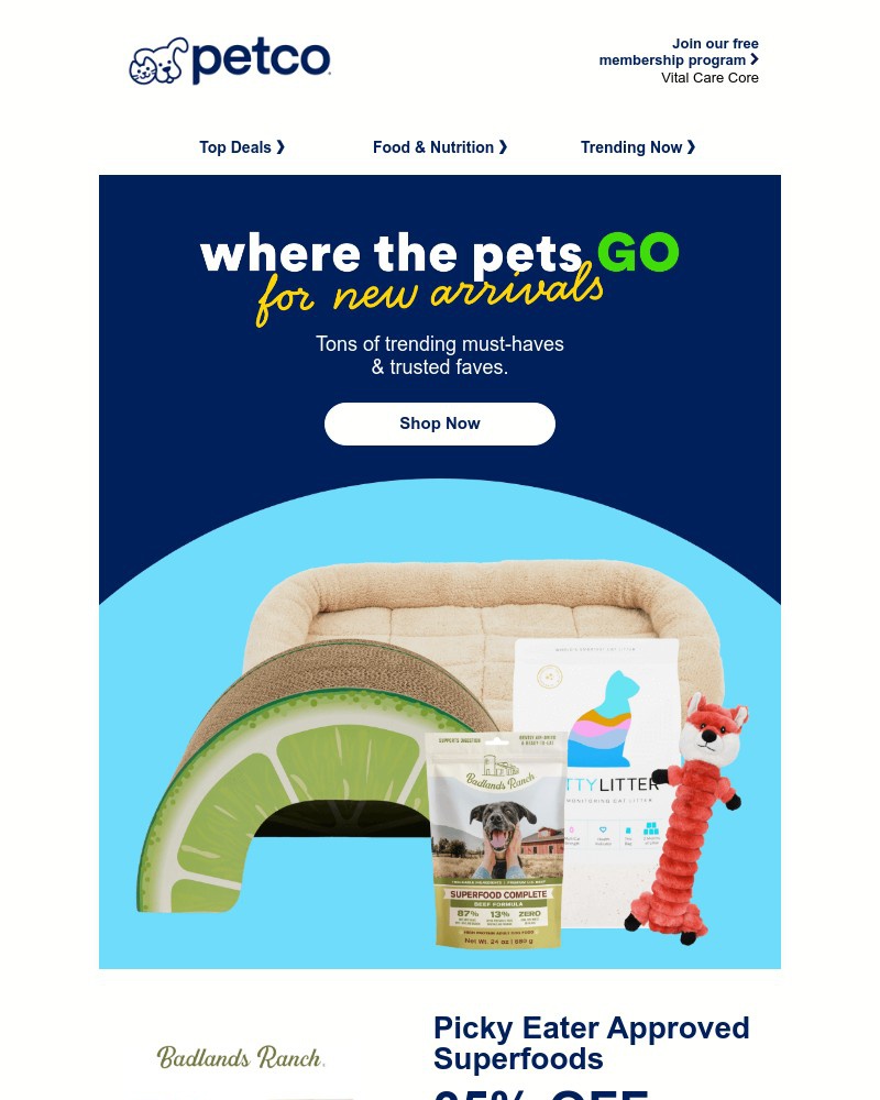 Screenshot of email with subject /media/emails/your-pet-all-this-new-0d71cc-cropped-34bbf5e7.jpg