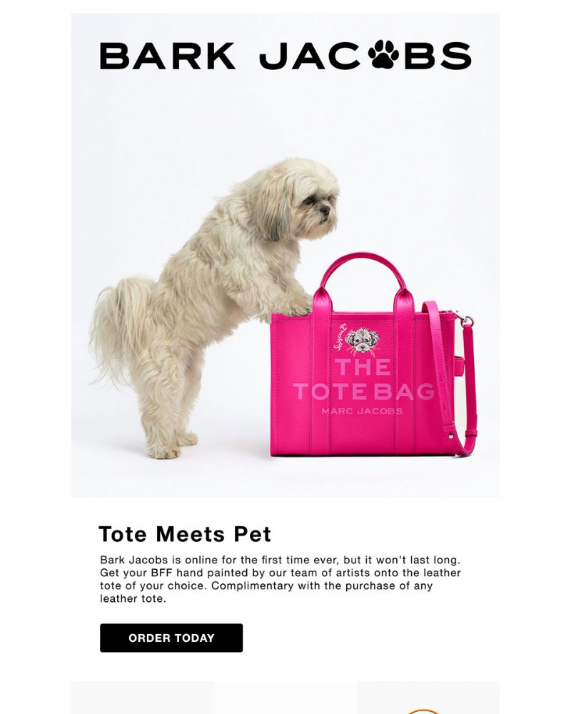 Screenshot of email with subject /media/emails/your-pet-picked-this-now-its-online-873c72-cropped-e7decbe0.jpg