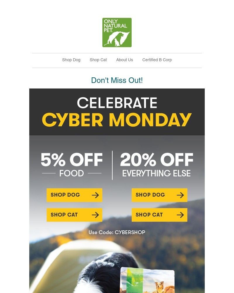 Screenshot of email with subject /media/emails/your-pet-wants-to-save-up-to-20-on-cyber-monday-6c344e-cropped-9ae1aa3e.jpg