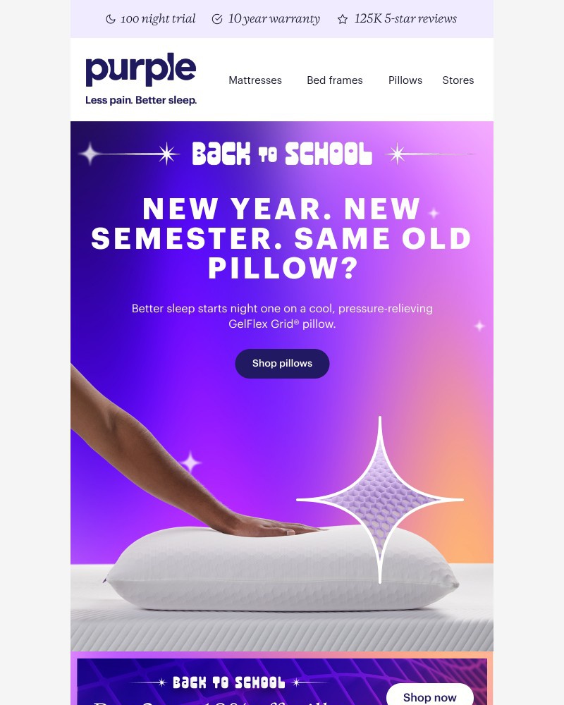 Screenshot of email sent to a Purple Cart abandoner