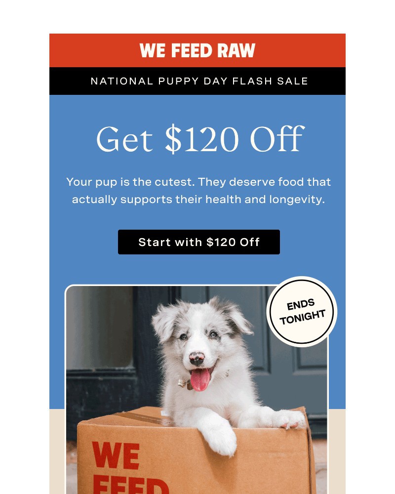 Screenshot of email with subject /media/emails/your-pup-cant-miss-this-one-3acdcb-cropped-4c243439.jpg