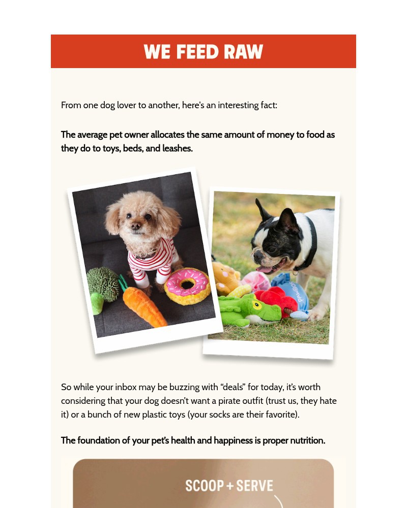 Screenshot of email sent to a We Feed Raw Newsletter subscriber