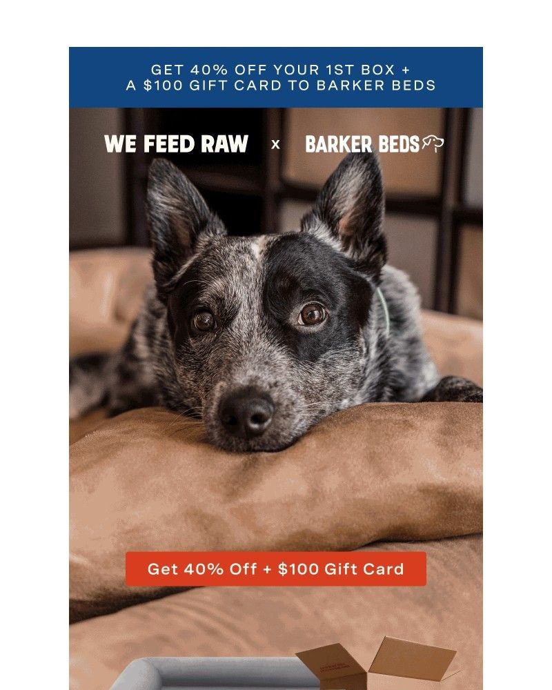 Screenshot of email with subject /media/emails/your-pup-gets-it-all-25f72a-cropped-2d0149e2.jpg