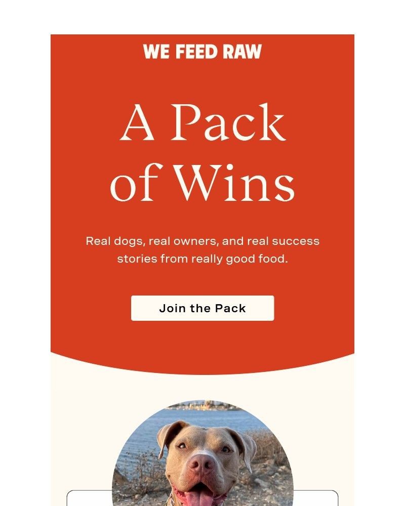 Screenshot of email sent to a We Feed Raw Newsletter subscriber