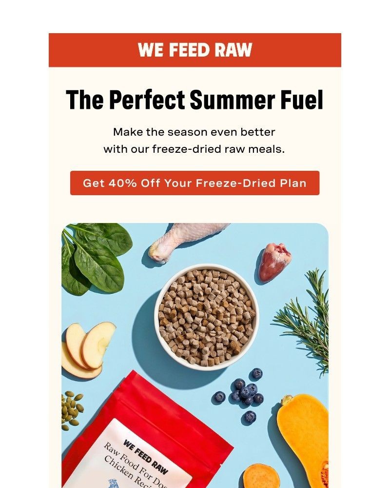 Screenshot of email sent to a We Feed Raw Newsletter subscriber