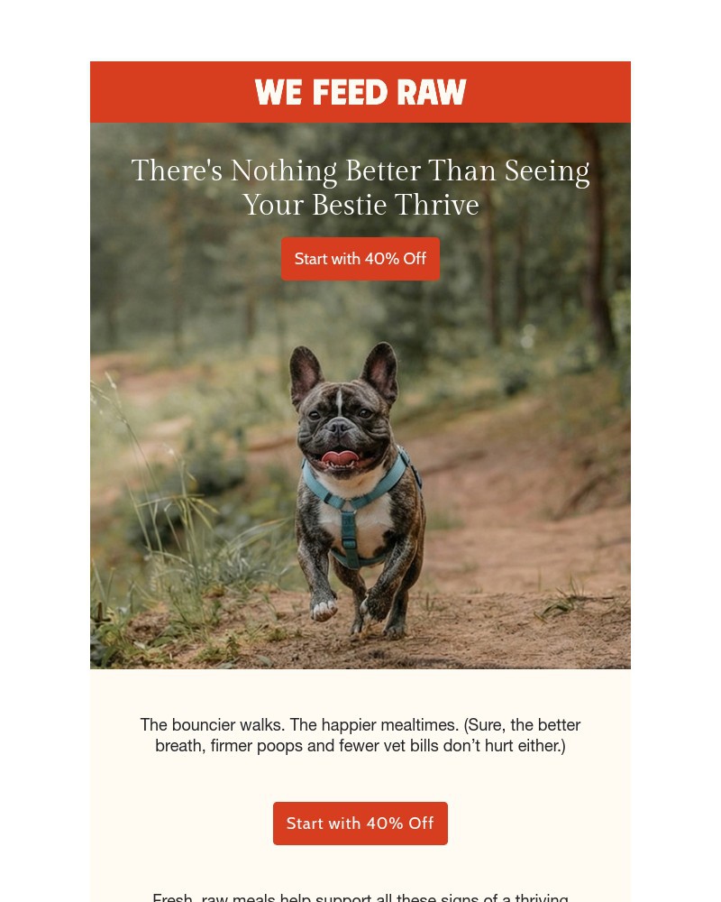 Screenshot of email with subject /media/emails/your-pup-your-1-d3f24c-cropped-d78d61dc.jpg