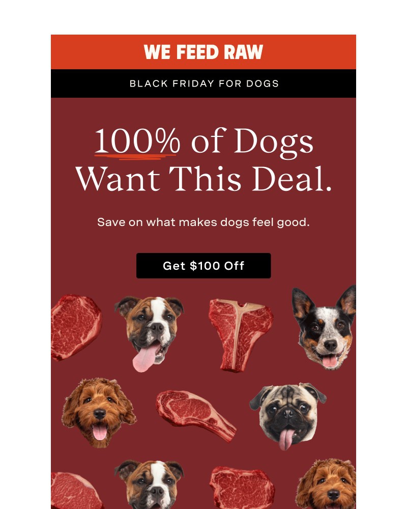 Screenshot of email sent to a We Feed Raw Newsletter subscriber