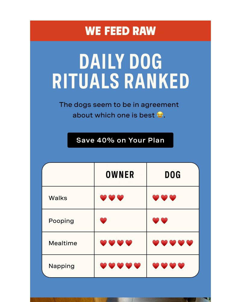 Screenshot of email sent to a We Feed Raw Newsletter subscriber