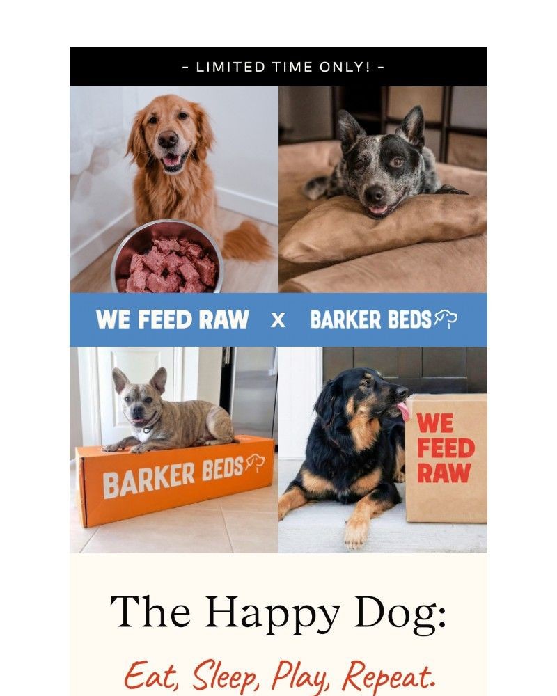 Screenshot of email with subject /media/emails/your-pups-happiness-is-just-food-sleep-3686c3-cropped-3c12b82d.jpg