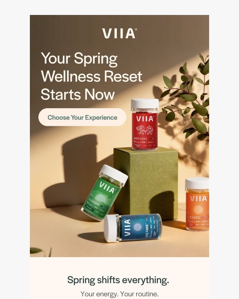 Screenshot of email sent to a VIIA Newsletter subscriber