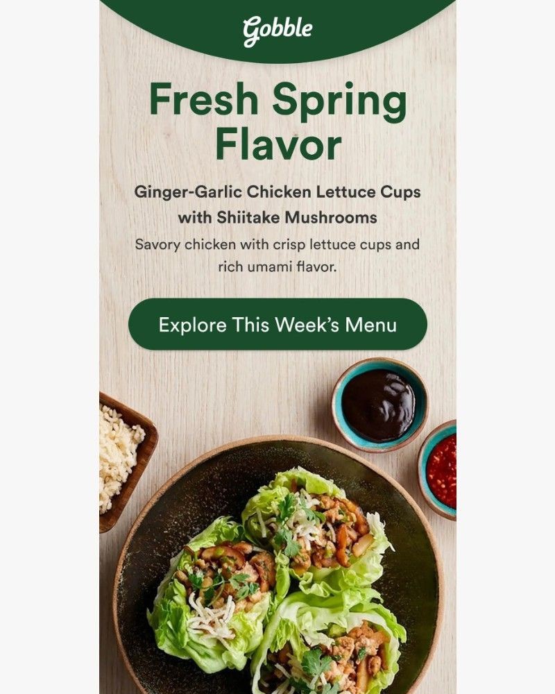 Screenshot of email sent to a Gobble Cart abandoner