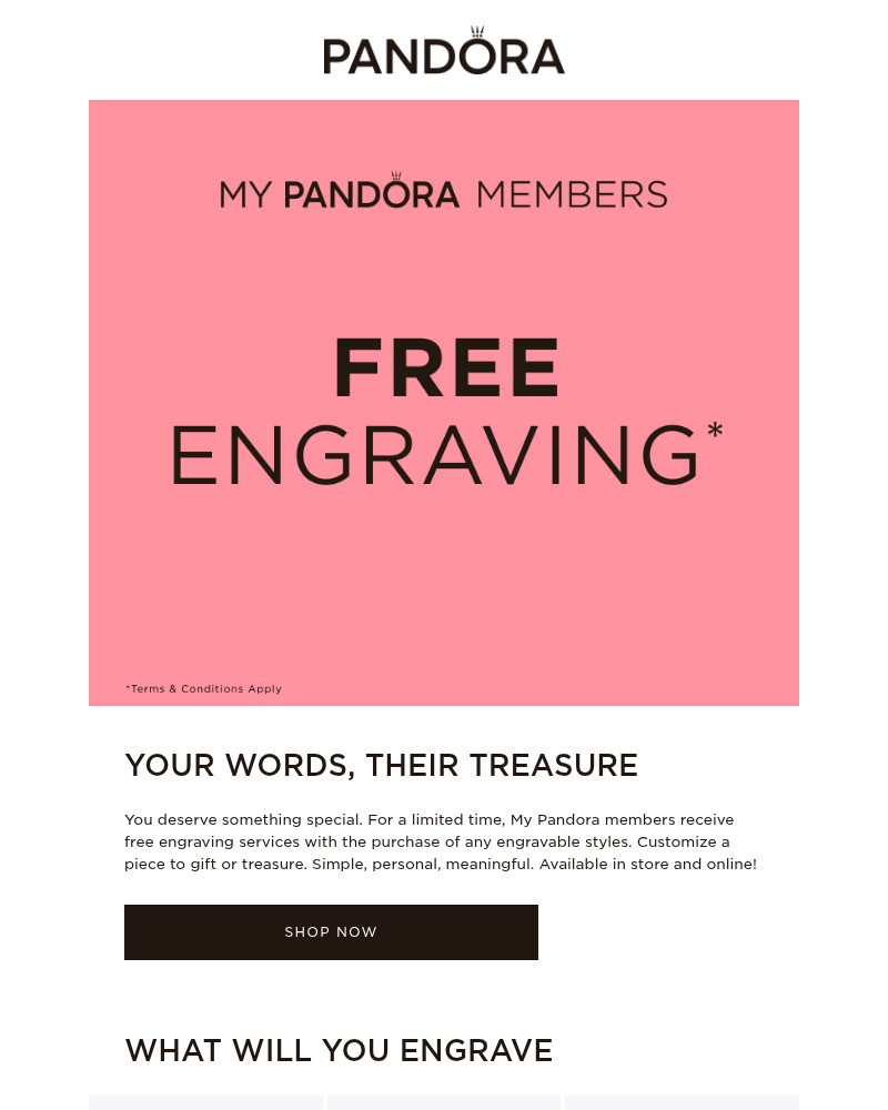 Screenshot of email with subject /media/emails/your-story-engraved-on-us-6335b3-cropped-5f5ad70b.jpg