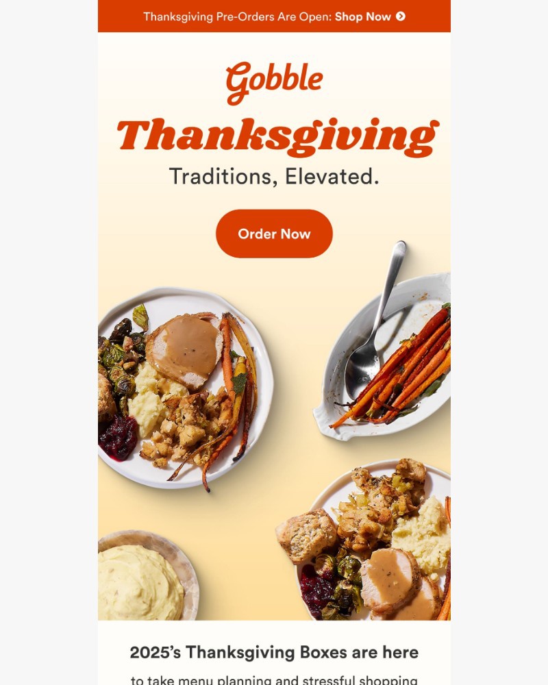 Screenshot of email sent to a Gobble Cart abandoner