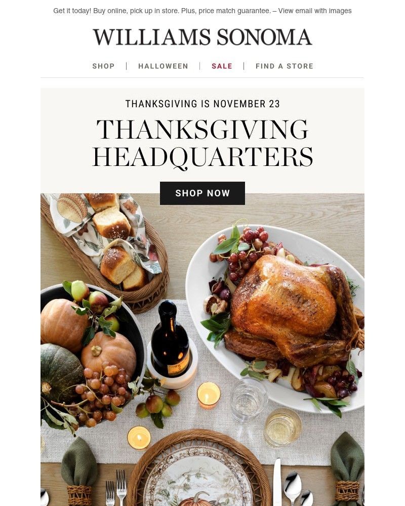 Screenshot of email with subject /media/emails/your-stress-less-thanksgiving-checklist-top-picks-are-in-stock-now-1d220e-cropped_ZVqdf2r.jpg