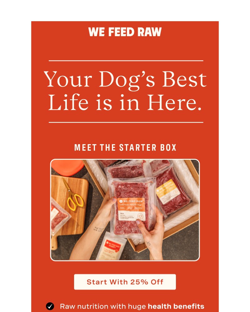 Screenshot of email with subject /media/emails/your-success-is-everything-to-us-44d3a8-cropped-b3ee7a84.jpg