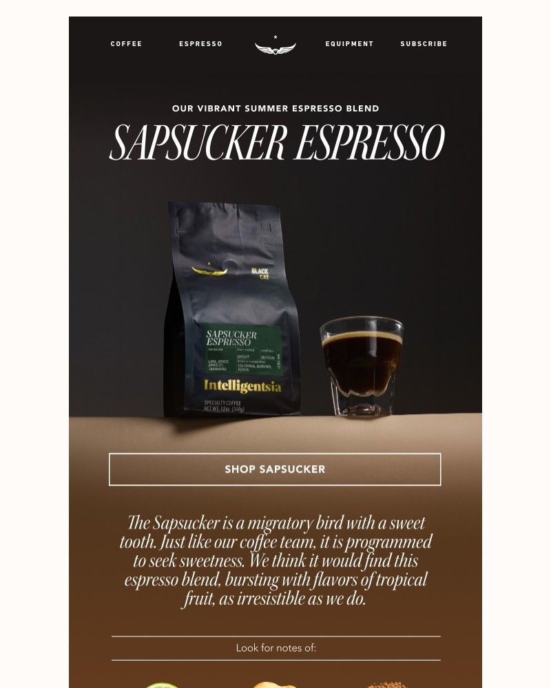 Screenshot of email sent to a Intelligentsia Newsletter subscriber