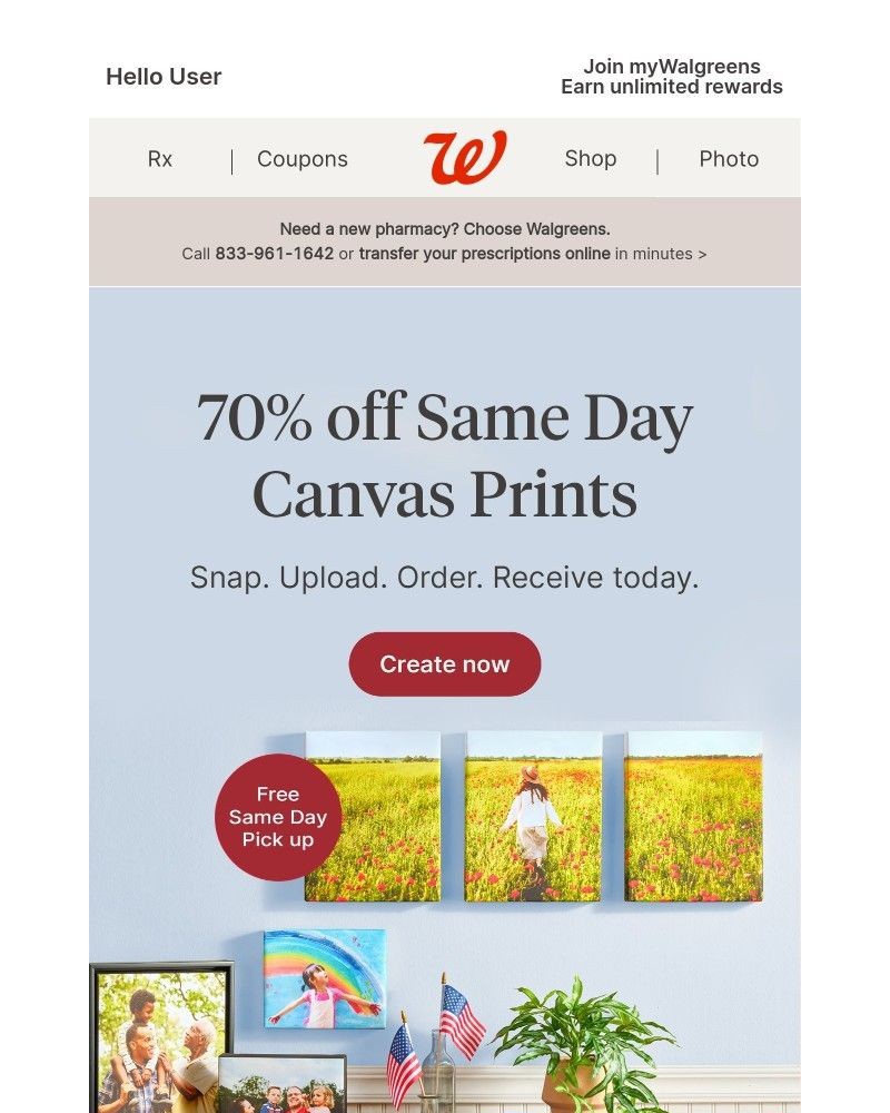 Screenshot of email with subject /media/emails/your-summer-on-canvas-with-70-off-same-day-canvas-prints-cc6f22-cropped-ea500de6.jpg