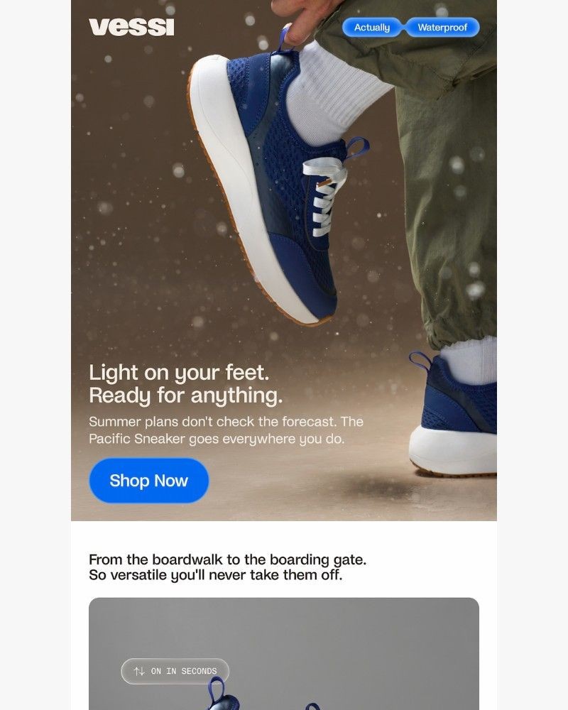 Screenshot of email sent to a Vessi Seller