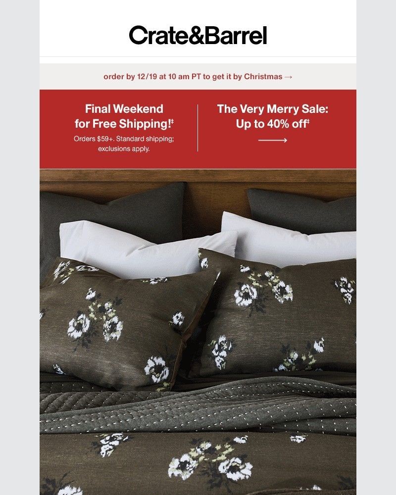 Screenshot of email with subject /media/emails/your-two-favorite-words-free-shipping-716df0-cropped-7f43abff.jpg