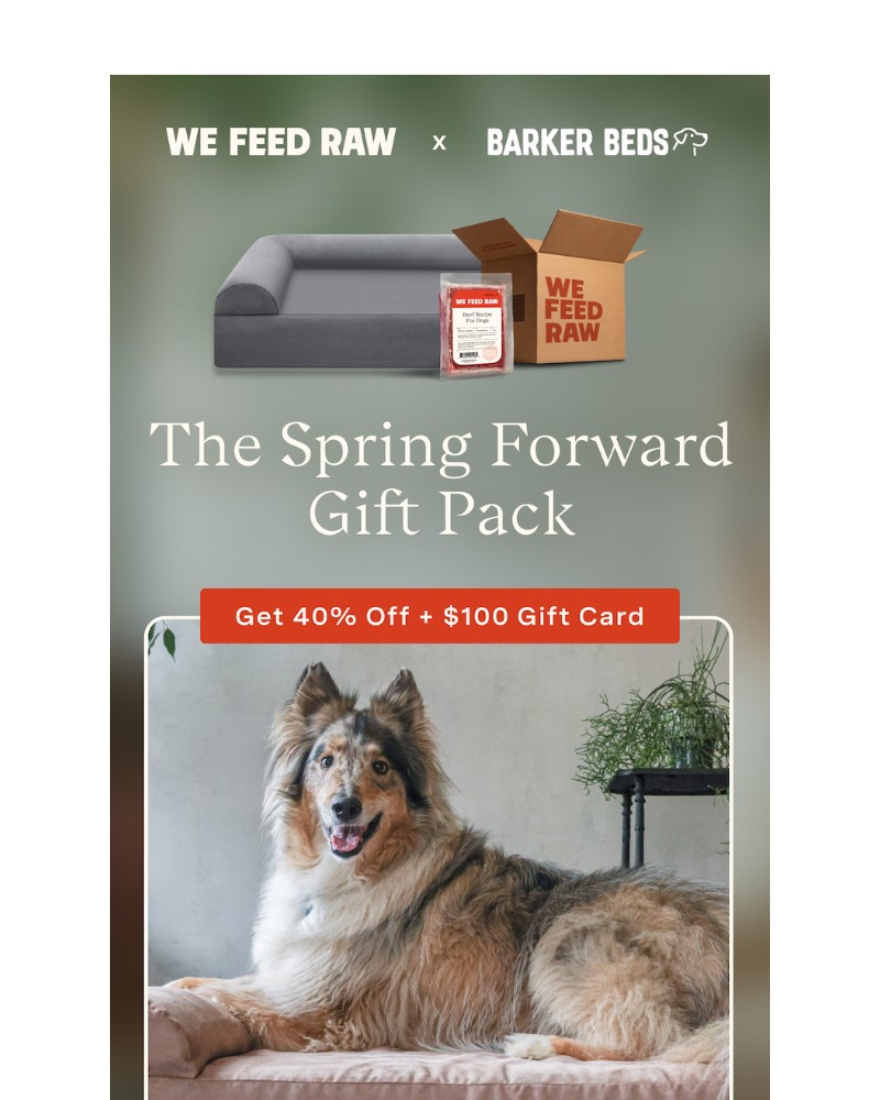 Screenshot of email sent to a We Feed Raw Newsletter subscriber