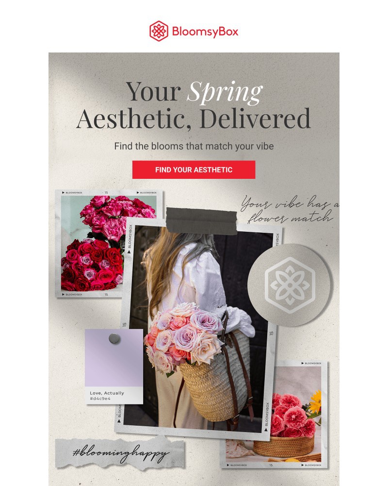 Screenshot of email sent to a Chococurb Newsletter subscriber