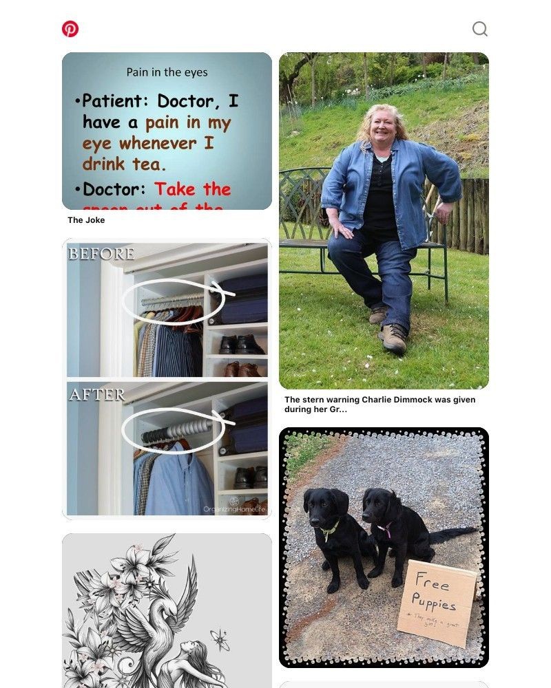 Screenshot of email with subject /media/emails/your-vibe-has-arrived-5688ab-cropped-cd67f342.jpg