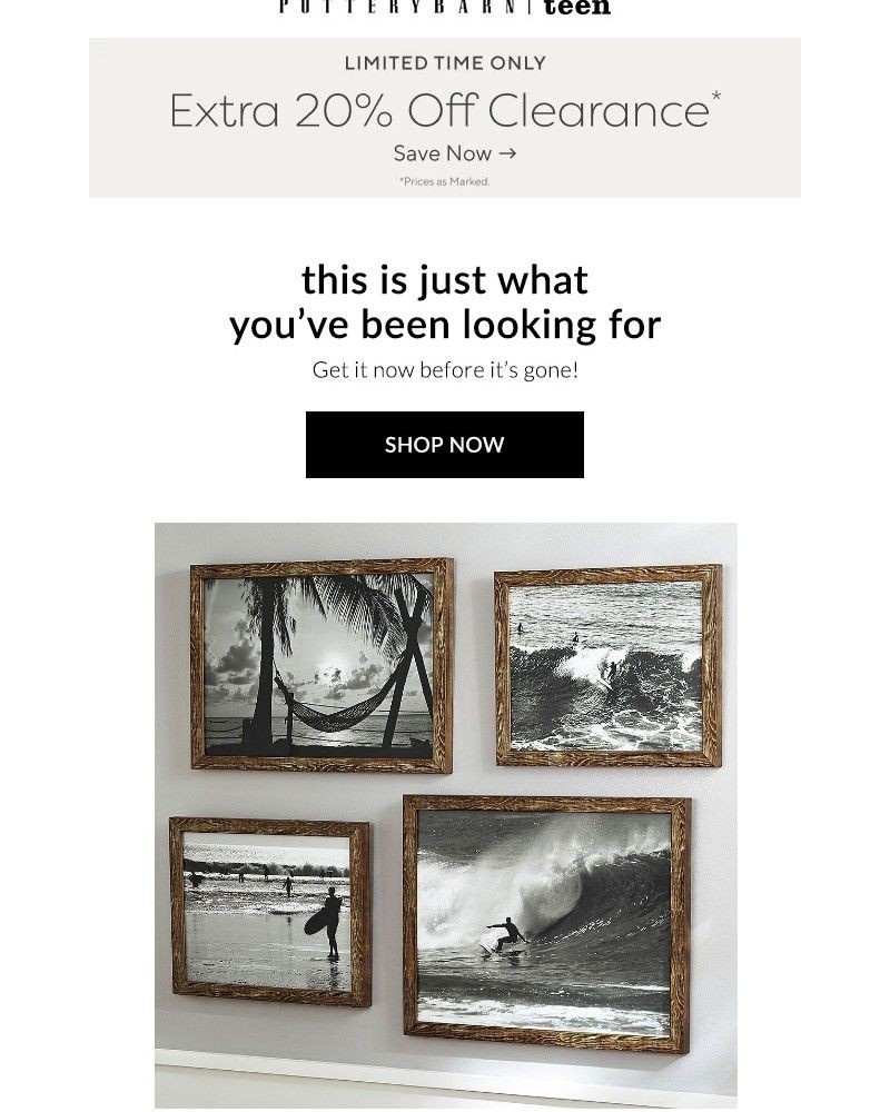 Screenshot of email with subject /media/emails/your-vibe-our-prints-canvas-art-an-extra-20-off-clearance-022514-cropped-3cae0b45.jpg